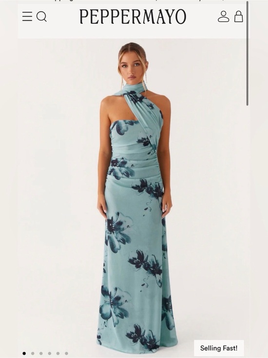 Peppermayo Dresses & Skirts - Peppermayo Songbird Maxi Dress